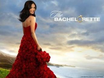 The-Bachelorette-Season-9-logo
